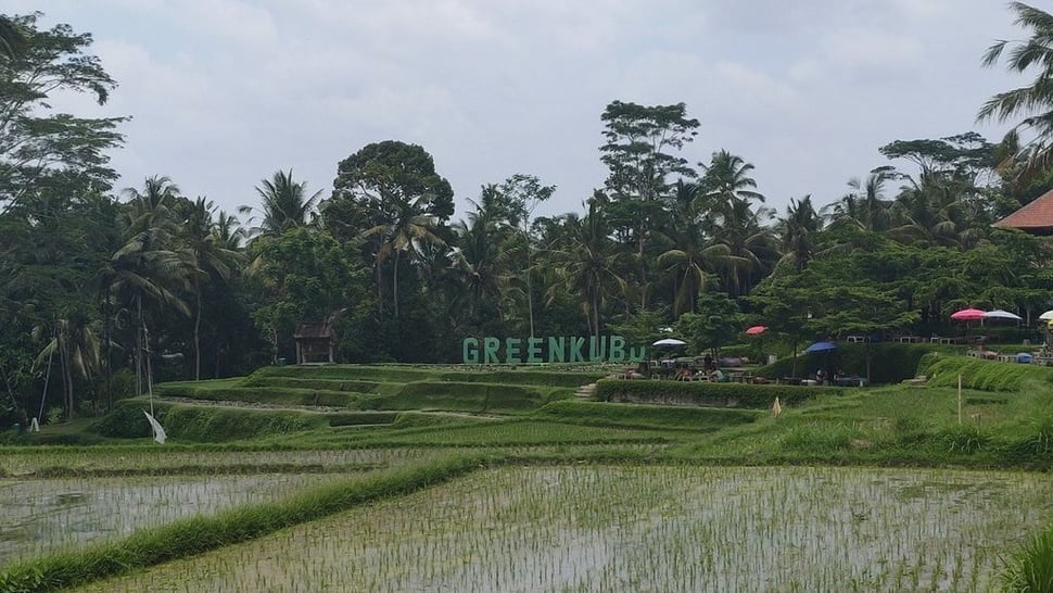 Ketika Sawah & Lahan Hijau di Bali Beralih Fungsi Jadi Bangunan