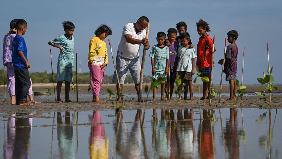 2024/09/19/titik-balik-penantang-alam-laut-timor--12_ratio-16x9.jpg