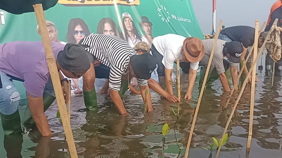 Pramono Akan Buat Giant Mangrove Sea Wall untuk Atasi Banjir Rob