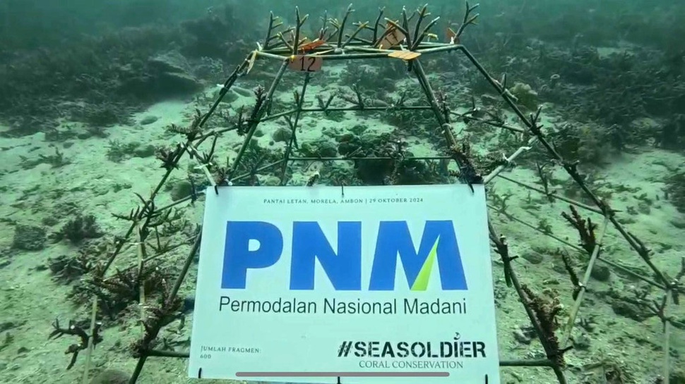 Sumpah Pemuda, PNM dan Pemuda Konservasi Terumbu Karang di Ambon