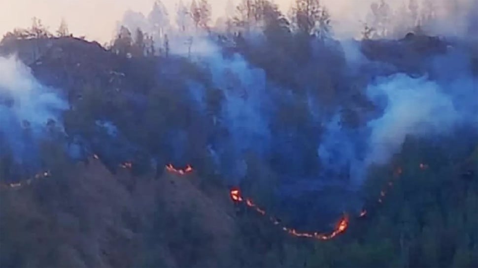 Pendakian Gunung Rinjani via Senaru Ditutup karena Ada Kebakaran