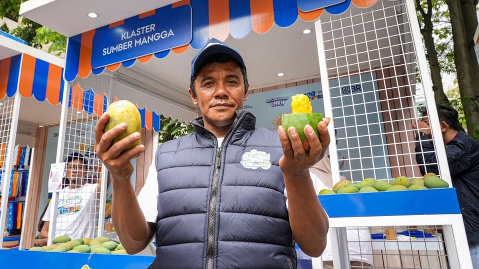 Diberdayakan BRI, Petani Mangga Bondowoso Tingkatkan Taraf Hidup