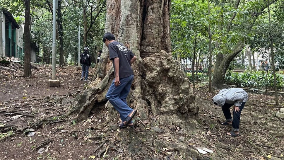 Cara Bermain Koin Jagat dan Mendapatkan Uang dari Aplikasi