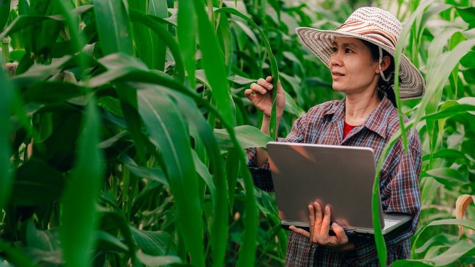 10 Prospek Kerja Jurusan Agronomi Setelah Lulus dan Gajinya