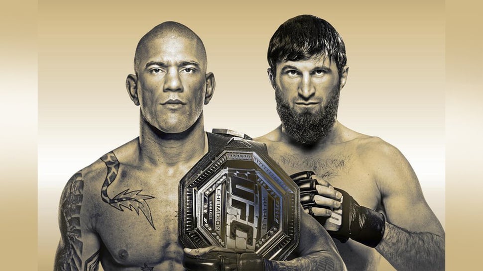 Jadwal UFC 313 Pereira vs Ankalaev & Nonton Live Streaming