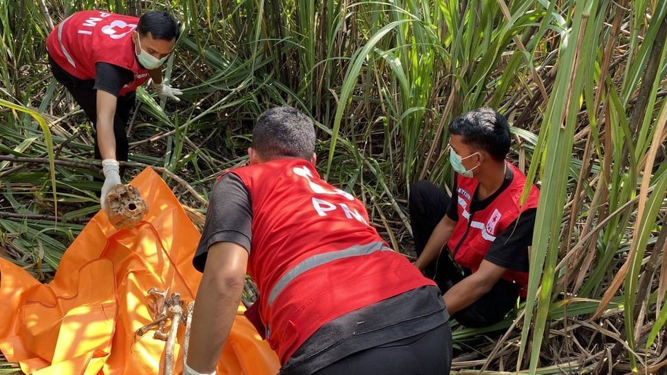 Penjelasan Polisi soal Penemuan Kerangka Manusia di Bantul