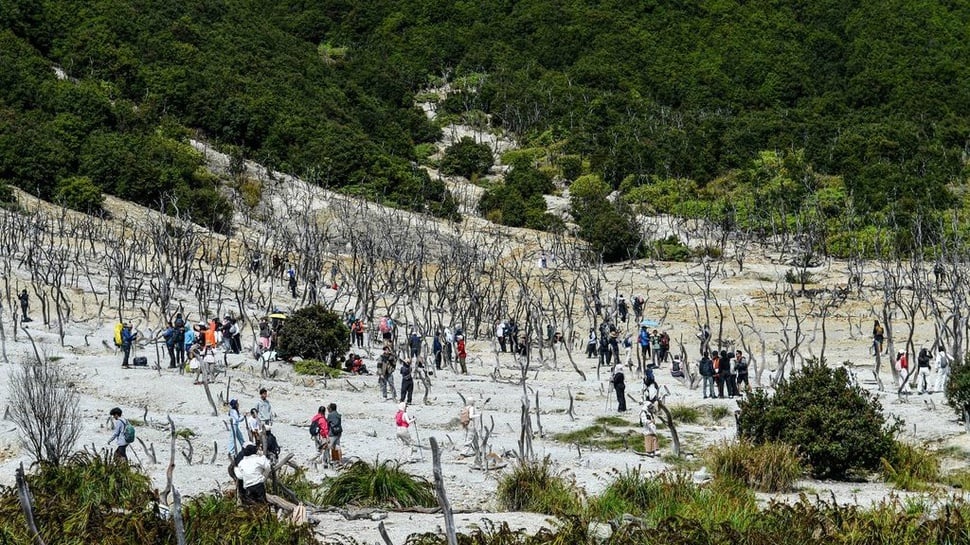 2025/05/22/antarafoto-wisata-libur-panjang-waisak-di-gunung-papandayan-1747895134_ratio-16x9.jpg