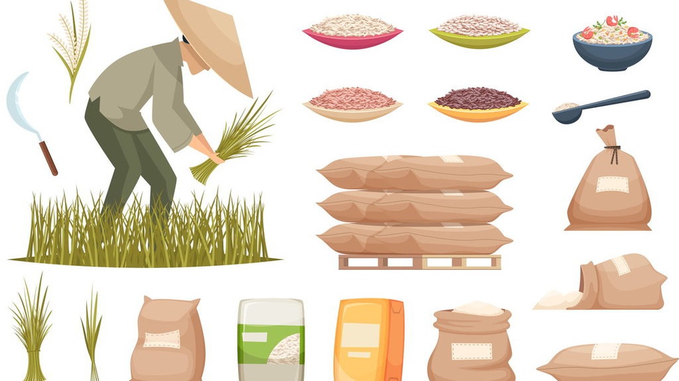 Nasi, Menu yang Selalu Dipesan Pemerintah Urusan Pangan