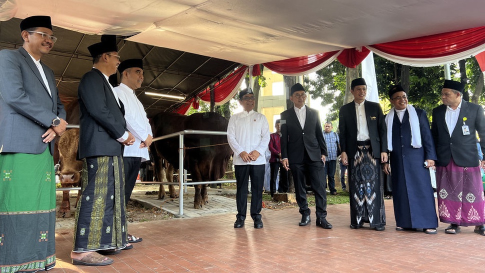 Idul Adha 2025, Istiqlal Terima 50 Sapi dan 79 Kambing Kurban