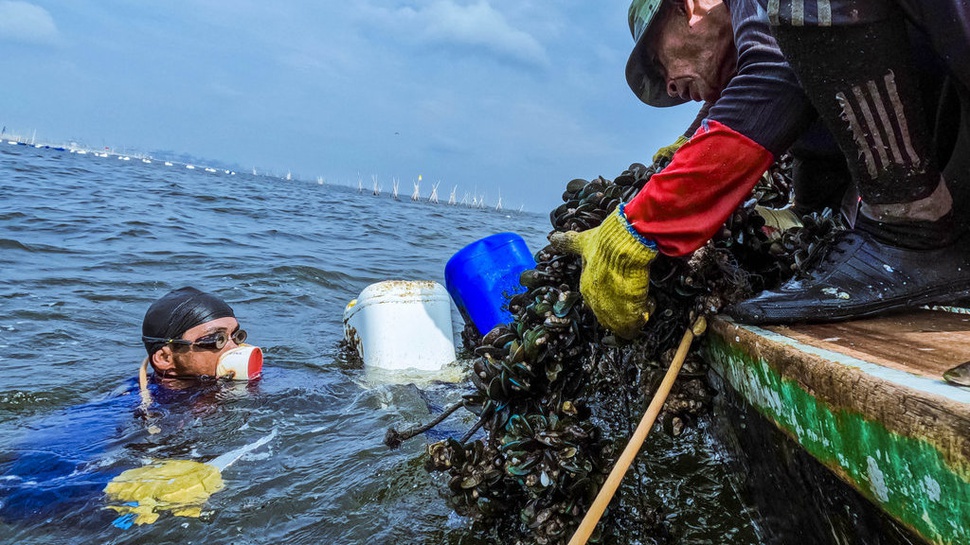 2025/10/15/foto-cerita-nafas-kehidupan-nelayan-kerang-hijau-jakarta-220725-fhs-6_5294.jpg