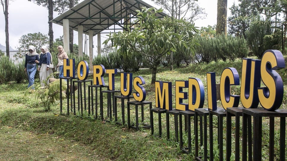 2025/10/29/menjelajahi_objek_wisata_medis_hortus_medicus-01.jpg