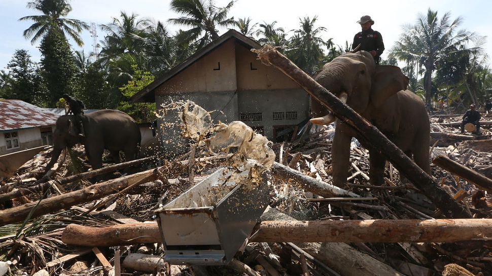 2025/12/08/antarafoto-gajah-bersihkan-puing-kayu-bencana-aceh-1765183201_7631.jpg