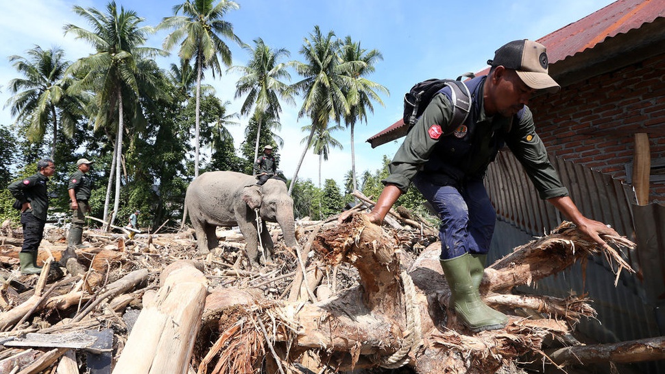 2025/12/08/antarafoto-gajah-bersihkan-puing-kayu-bencana-aceh-1765183202_7632.jpg