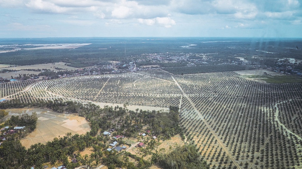 2025/12/31/bayang-bayang-banjir-aceh-tamiang-5-ebp-antarafoto-5.jpg