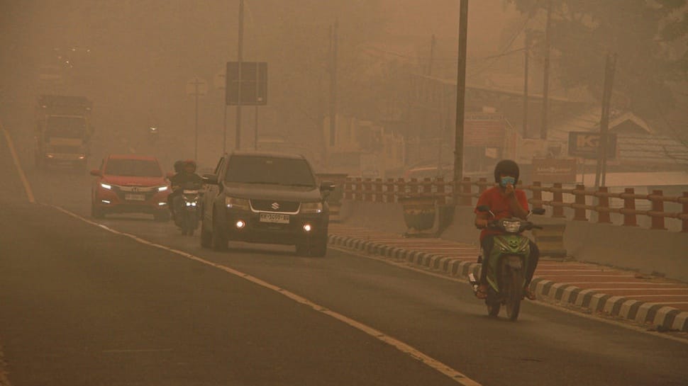 2026/10/14/antarafoto-kabut-asap-dampak-karhutla-masih-menyelimuti-palangka-raya-1791946004_16829.jpg