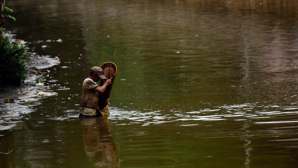 Pecari Cacing Sungai  di Air Keruh Foto Tirto ID Tirto ID