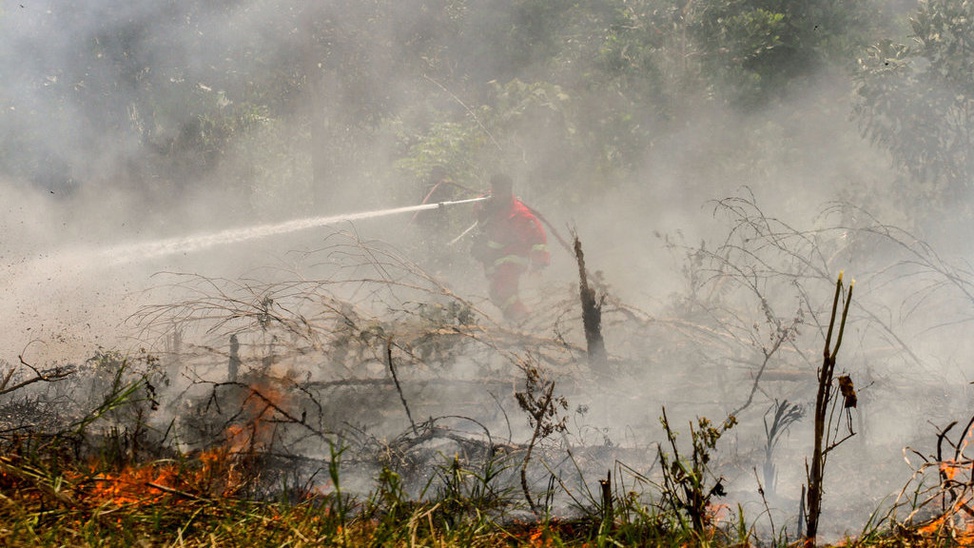 Kebakaran Hutan Dan Lahan Di Sumatera