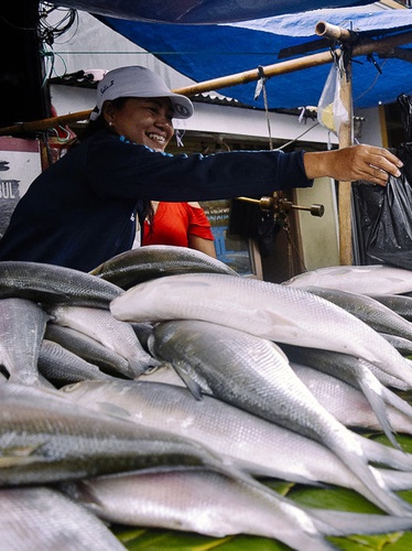 Togel Ikan Bandeng
, Pasar Kaget Penjual Ikan Bandeng Di Rawa Belong