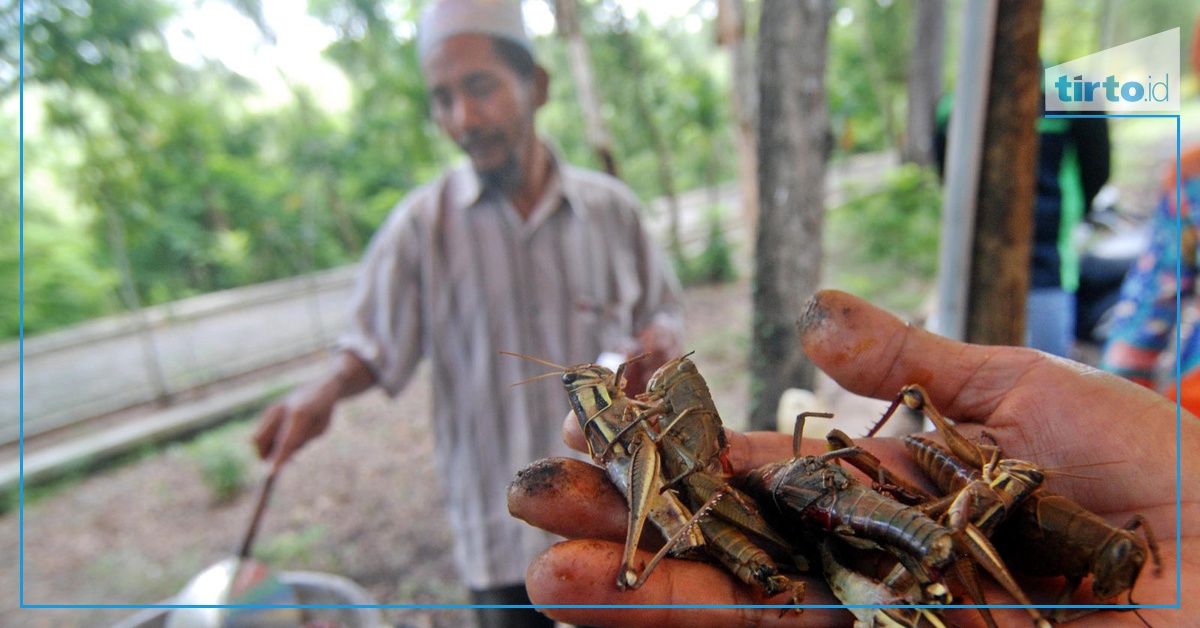 Berburu Oleh-oleh Khas Wisata Yogya, Selain Gudeg - Tirto.ID
