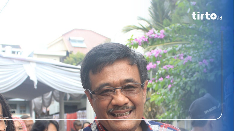 Profil Djarot Saiful Hidayat - Tirto.ID