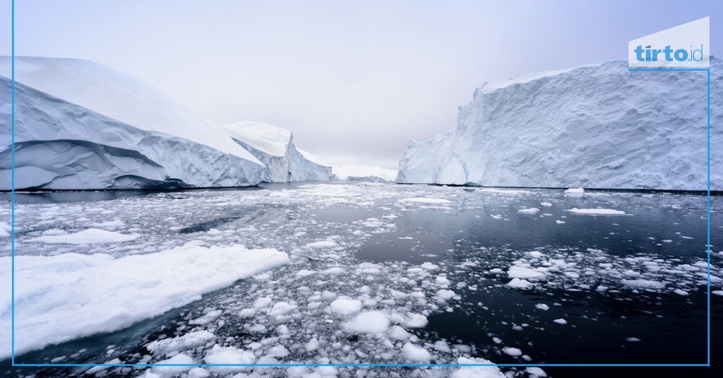 Dampak Mencairnya Es di Kutub Akibat Pemanasan Global