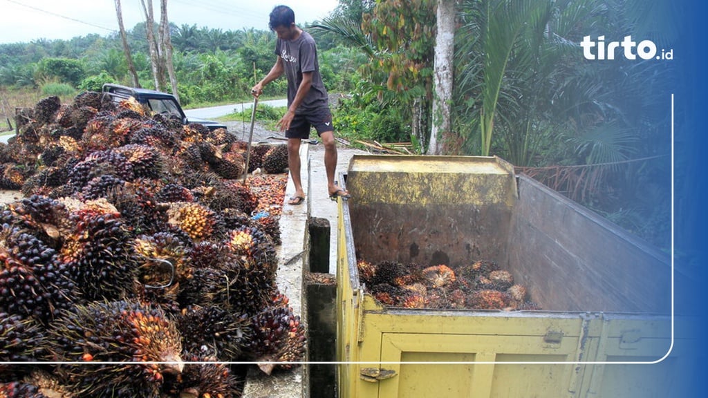 Selain Batu Bara, Jokowi Cabut Limbah Sawit Dari Lis Limbah Beracun