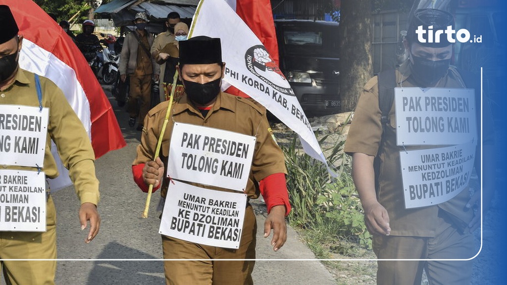 Nasib Honorer Di Pemerintahan Serta Bedanya Dengan PPPK Dan PNS