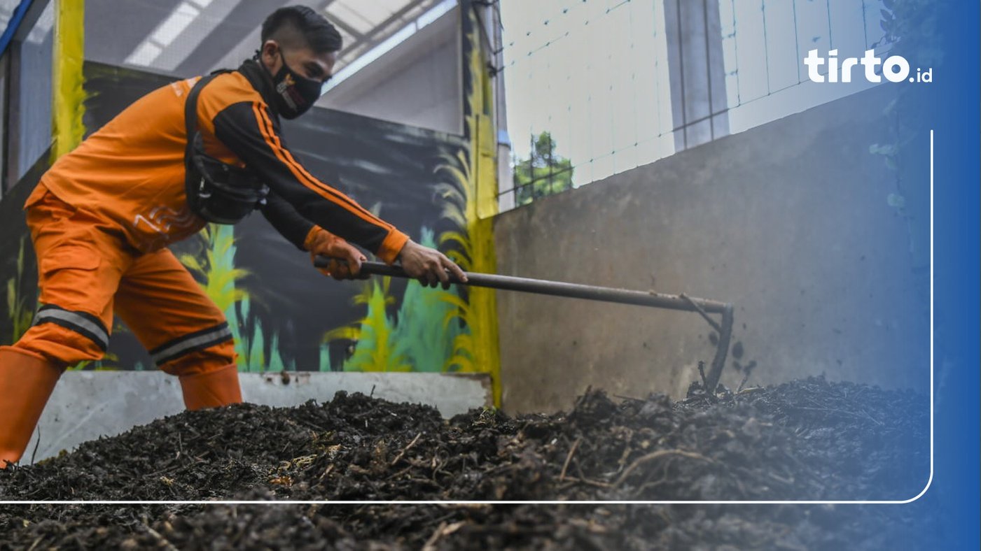 Cara Membuat Pupuk Kompos Dari Daun Dan Sampah Rumah Tangga