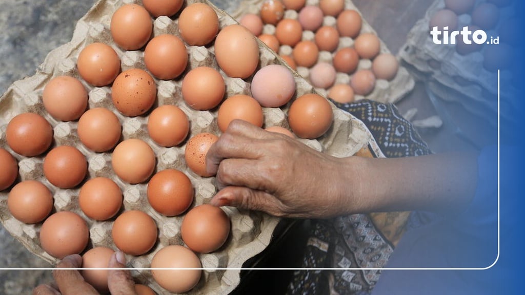 Update Harga Pangan 12 Juni 2023: Beras- Telur Ayam Masih Mahal