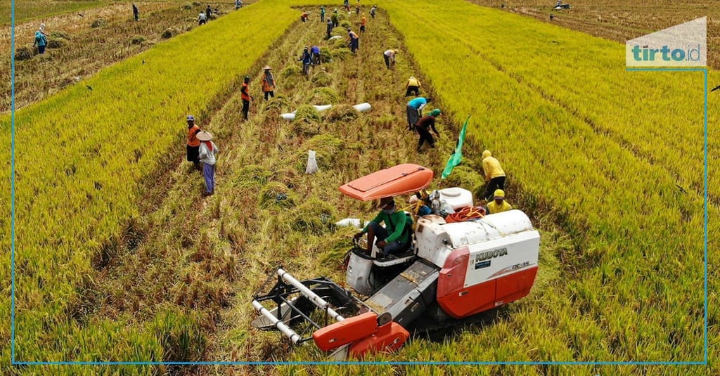  Seberapa Mampu Indonesia Mencapai Swasembada Pangan di 2026? Motiv 