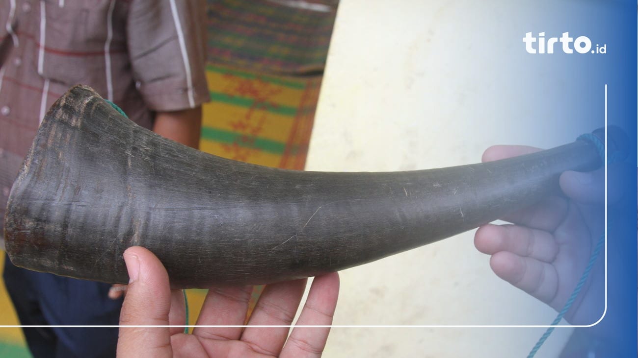 Apa Itu Alat Musik Tiup, Pengertian dan Contohnya?