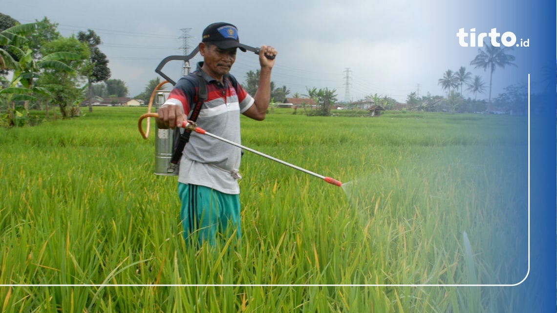 12 Jenis-Jenis Hama Tanaman dan Cara Membasminya