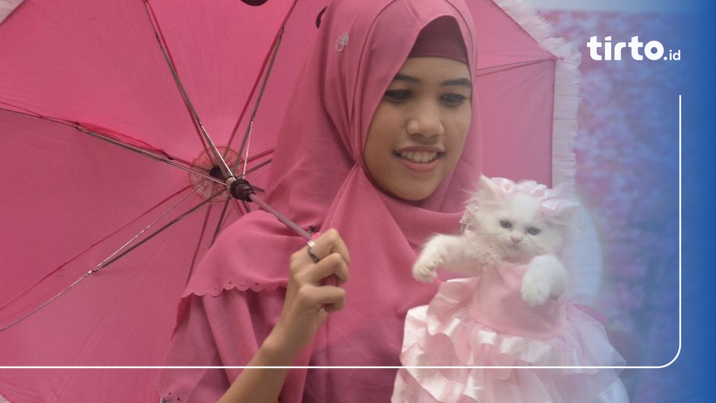 200 Nama Kucing yang Bagus dalam Islam untuk Jantan & Betina
