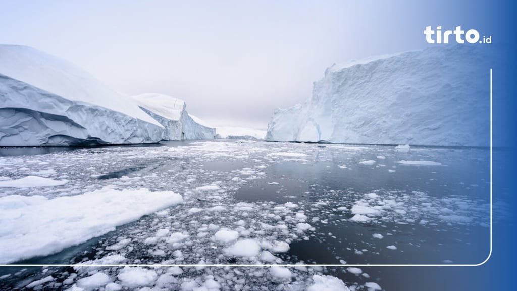 Dampak Mencairnya Es di Kutub Akibat Pemanasan Global