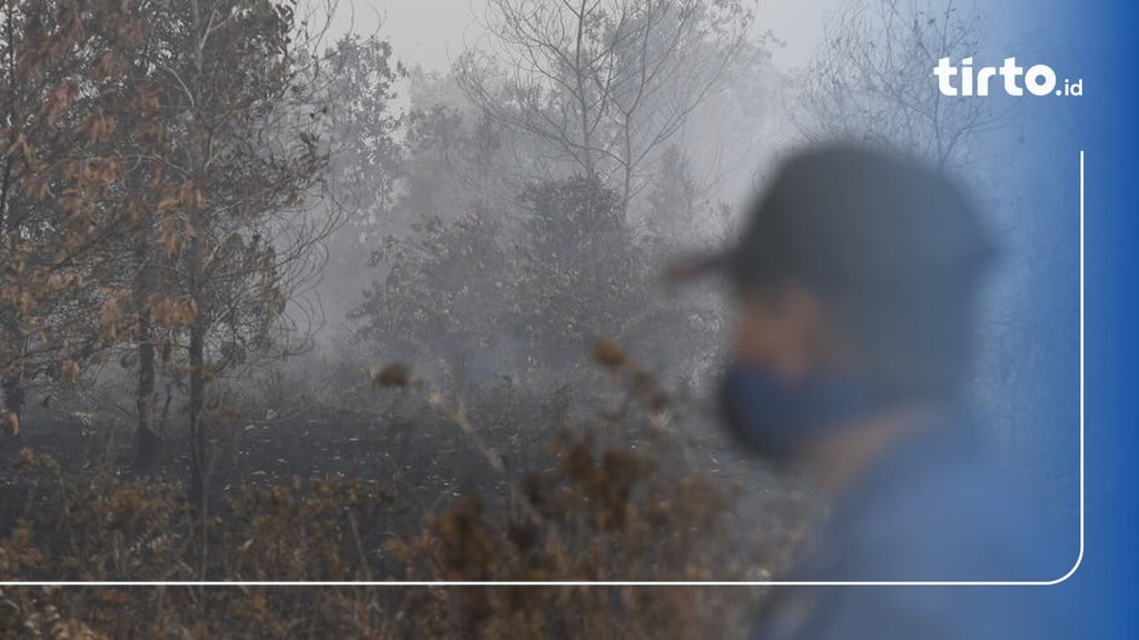 BMKG Deteksi 14 Titik Panas Di Kaltim Warga Diminta Waspada