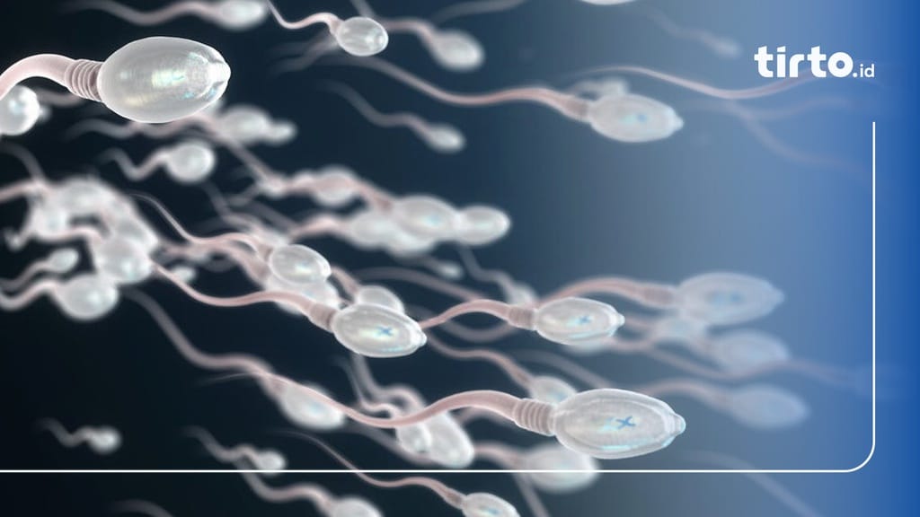 Bakugan jinsiy aloqa fotograflari