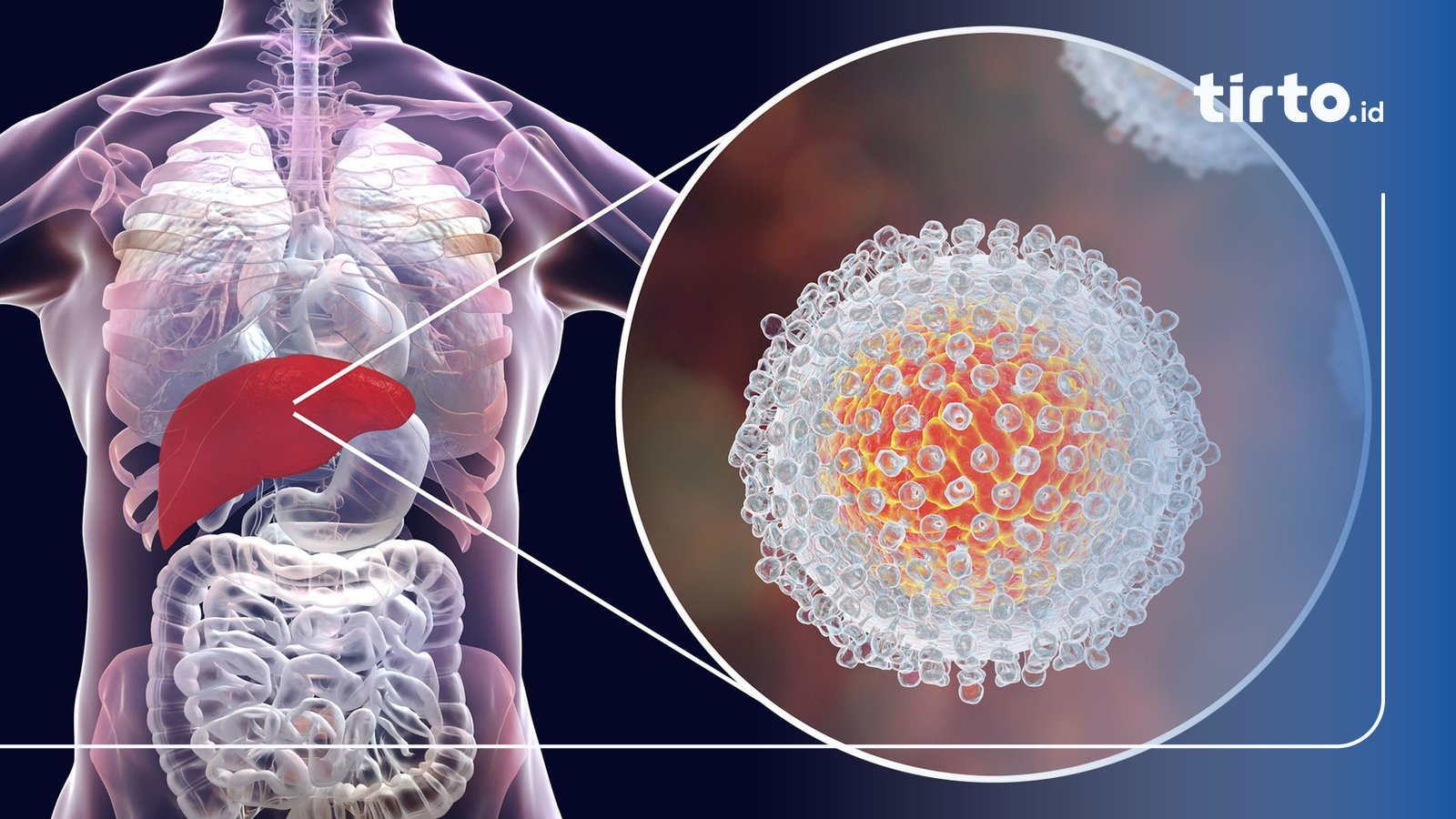 Juli 2025 Penuh Warna Kesehatan: Rayakan Hari Buah Internasional dan Tingkatkan Kesadaran Hepatitis!