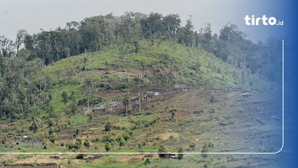 Apa Itu Carbon Neutral & Mengapa Netralitas Karbon Penting?