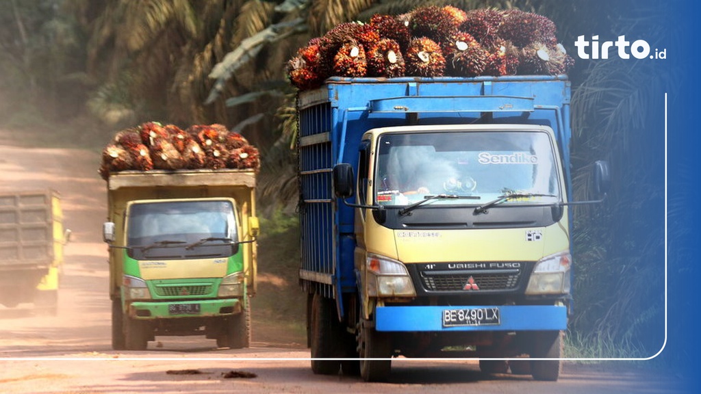 Hutan Rusak hingga Konflik Agraria