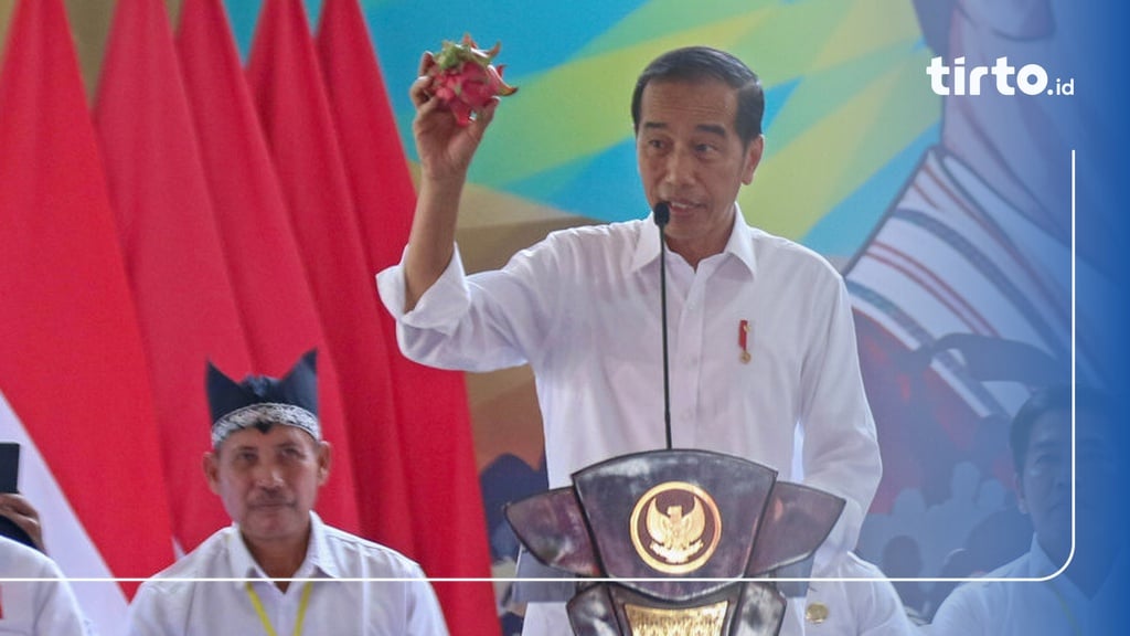 Jokowi Tambah Subsidi Rp14 Triliun Untuk Atasi Kelangkaan Pupuk