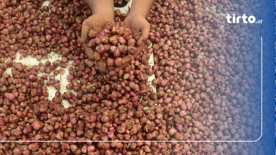 Petani Ngaku Tak Untung Meski Harga Bawang Merah Lagi Mahal