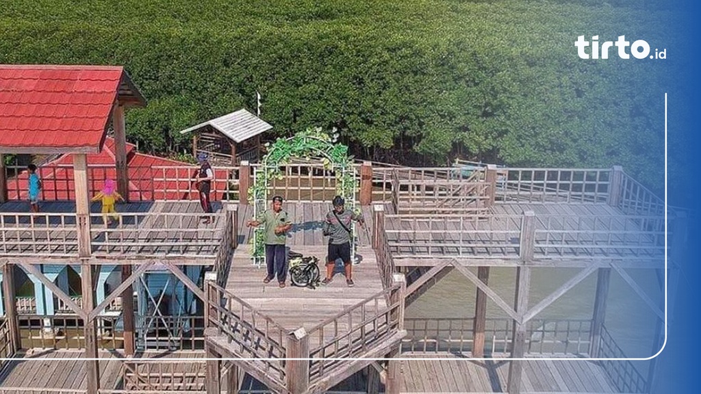 9 Wisata Mangrove di Indonesia Membentang dari Jawa hingga Papua