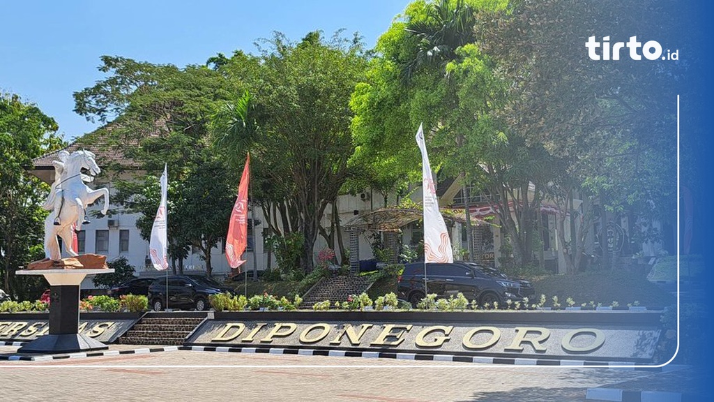 Prediksi Nilai Rata-Rata Rapor SNBP Undip 2025 untuk Semua Prodi