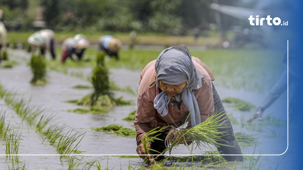 Resep Swasembada Orba yang Abai Lingkungan Baiknya Tak Ditiru