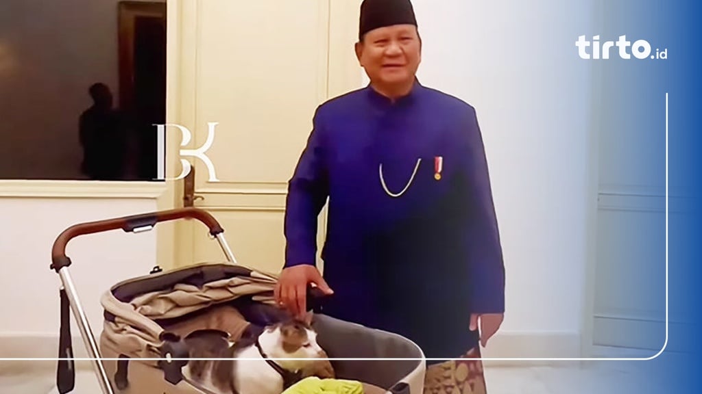 Fakta-fakta Tentang Kucing Bobby yang Diboyong ke Istana