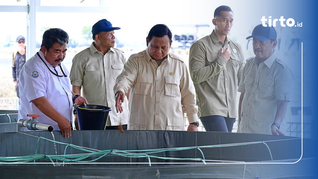 Prabowo Kunjungi Sentra Budidaya Nila untuk Makan Bergizi Gratis