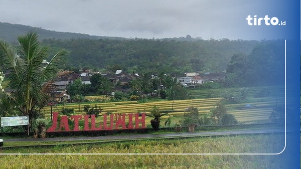 Panorama Bali di Jatiluwih: Harmoni Alam dan Cita Rasa Tradisi