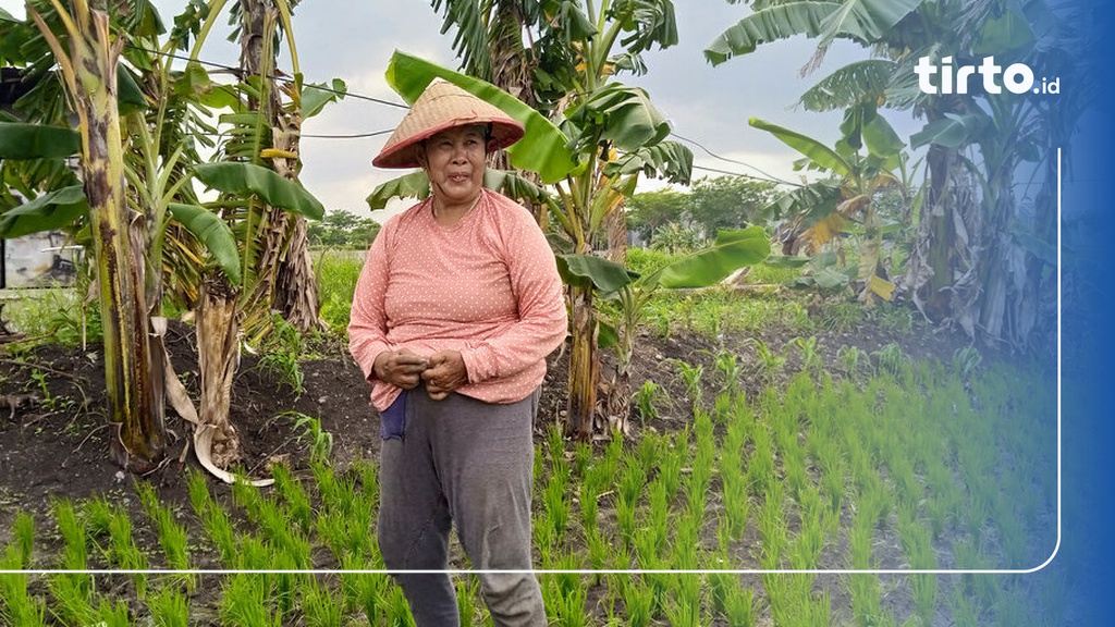 Kisah Petani di Surabaya Garap Lahan Terbatas Milik Pengembang