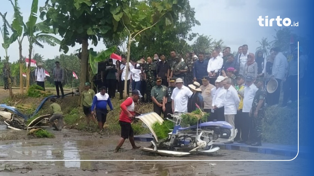 Nelangsa Petani di Bantul: Tanam Tujuh Kali, Panen Satu Kali