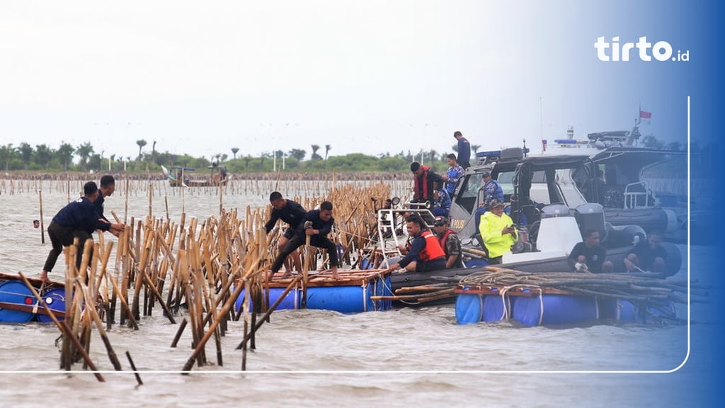 Di Mana Lokasi Pagar Laut Tangerang & Apakah Sudah Dibongkar?